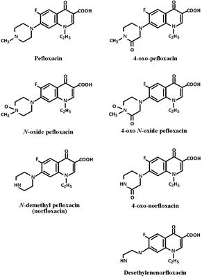 Oral Bioavailability and Plasma Disposition of Pefloxacin in Healthy Broiler Chickens